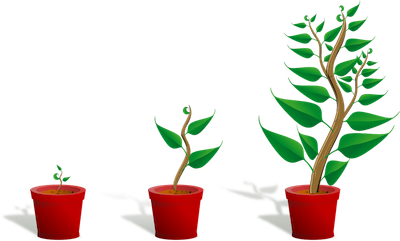 Free sapling plant growing vector