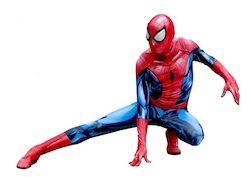 Free Spiderman Marvel photo and picture