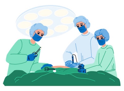 xenotransplantation illustration