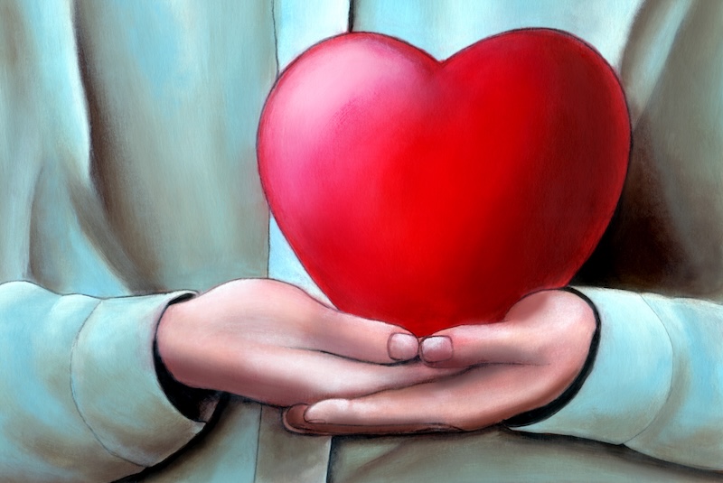 Big heart Hands cupped holding a big heart.