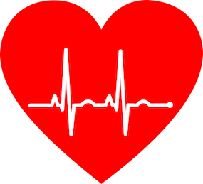 Free ekg electrocardiogram heart vector