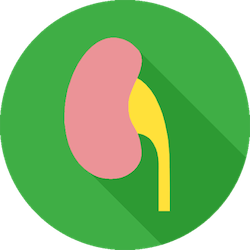 A green circle with a pink object in it Description automatically generated