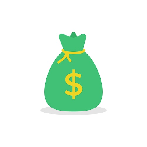 Money Bag Icon