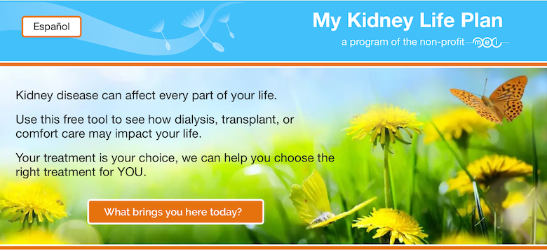 Image of My Kidney Life Plan decision aid tool