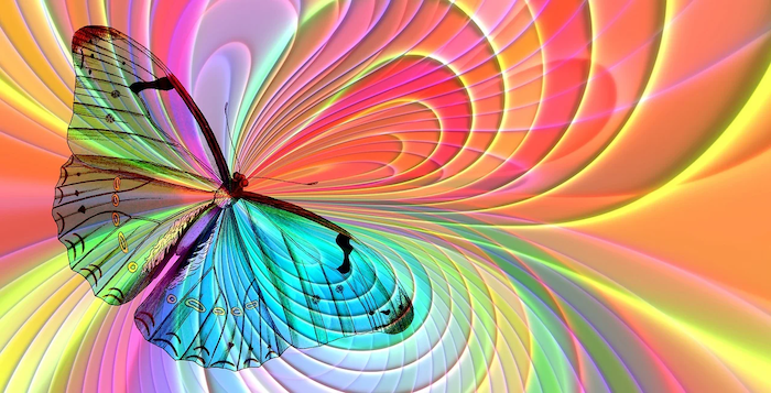 Free arrangement butterfly aesthetics illustration