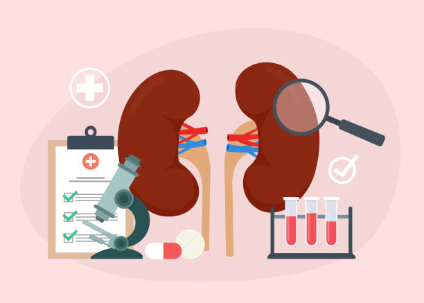 Treatment of kidney disease and diagnostic.