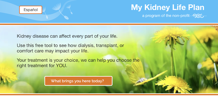 My Kidney Life Plan website image