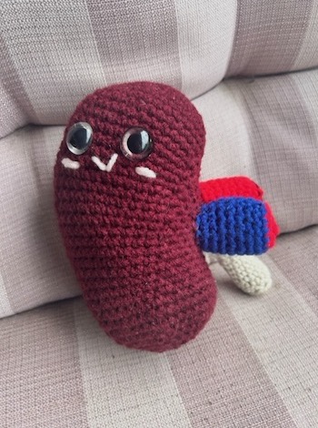 crochet kidney