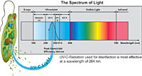 UV Spectrum