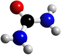 Urea molecule