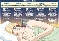 Sleep stages
