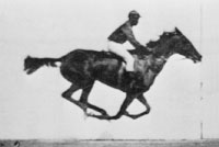 photo of man on horse