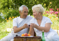 Older couple at picnic